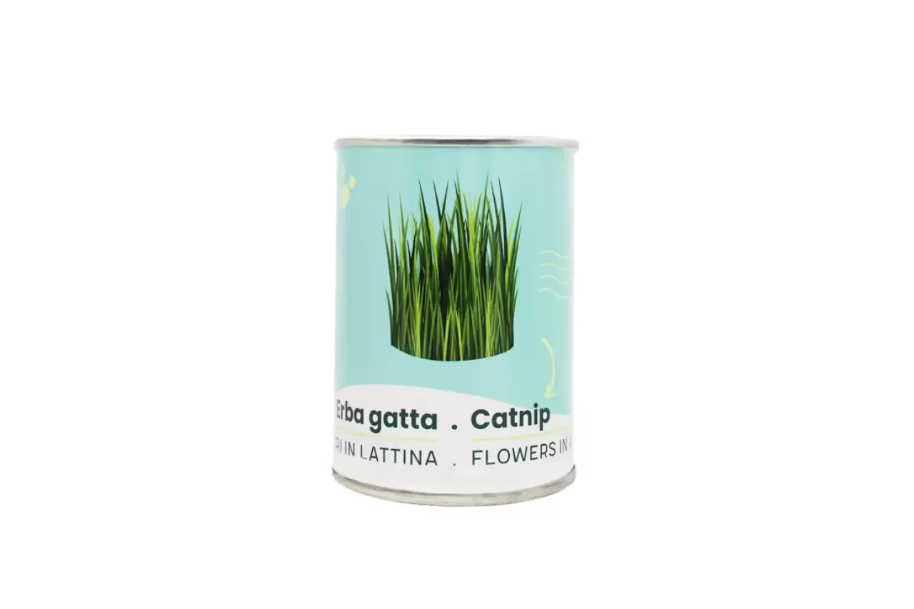 <p>Erba gatta in lattina: una delle tante piante (e fiori) messi a disposizione sotto forma di “Microgiardini” da iGreen Gadgets</p>